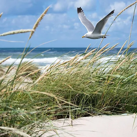 Spacious 9-guest Apartment Knokke-Heist