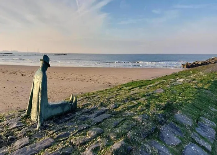 Apartment Spacious 9-guest *