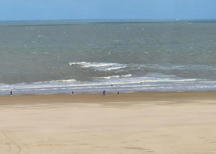 Spacious 9-guest Apartment Knokke-Heist