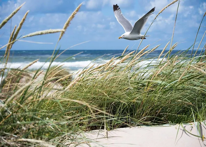 Spacious 9-guest Apartment Knokke-Heist